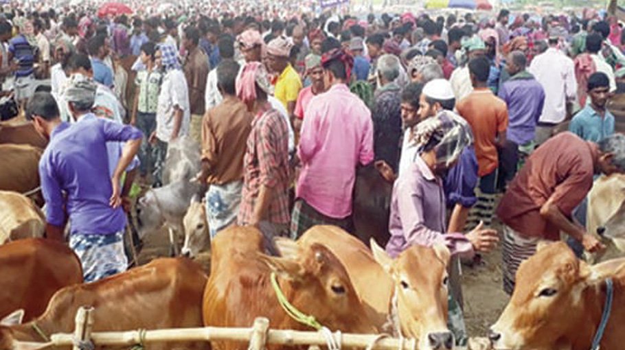 No scarcity of sacrificial animals in Rajshahi