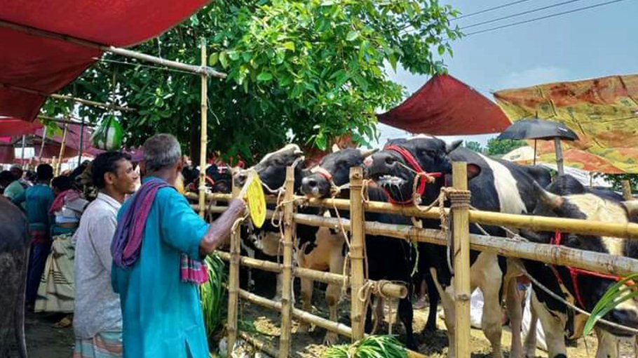 Ctg cattle markets abuzz with buyers, sellers at last moment
