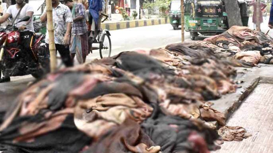 One lakh rawhides collected in Lalbagh’s Posta despite fears of losses