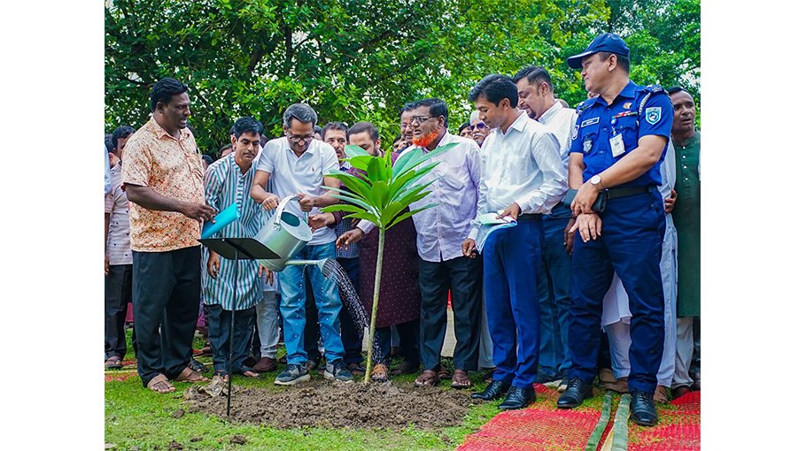 ‘Adequate trees should be planted to save environment’