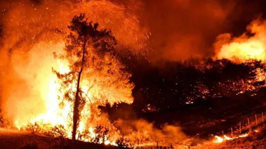 Five dead, dozens hurt in Turkey wildfire