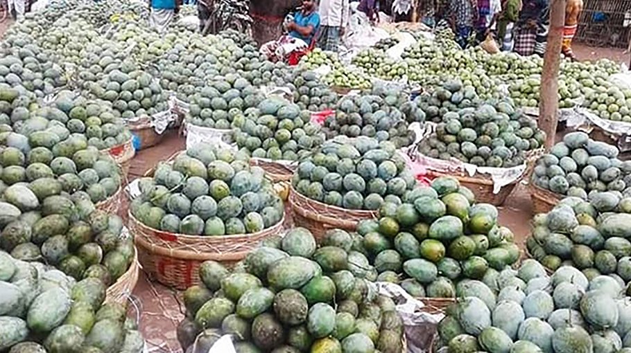Mango trading gains momentum in Rajshahi