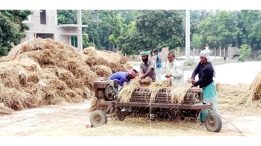 Ishawrdi farmers happy with bumper Boro yield