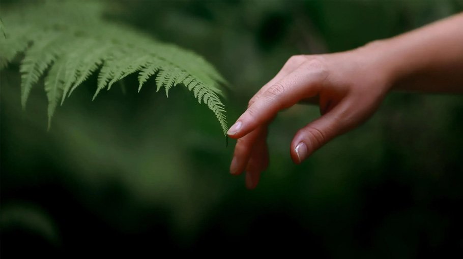 Need to give biodiversity more attention 