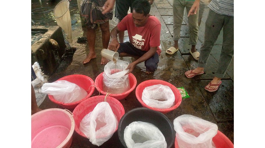 Country’s largest central hatchery plays vital  role in research 