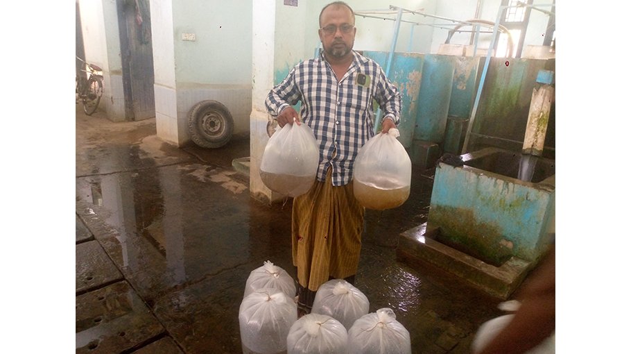 Rain comes as a boon to fish farming in Jhenaidah