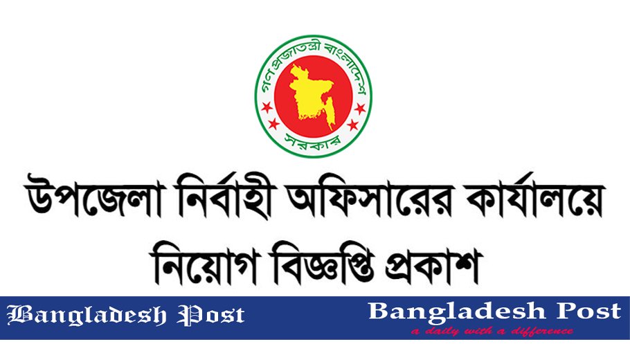 TEO Job Circular 2024