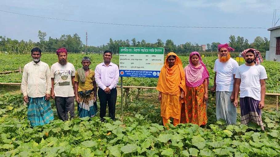 Vegetable cultivation gets popular in Tangail