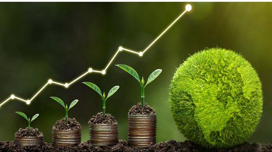Wait for vulnerability-based climate funding or build capacity first?
