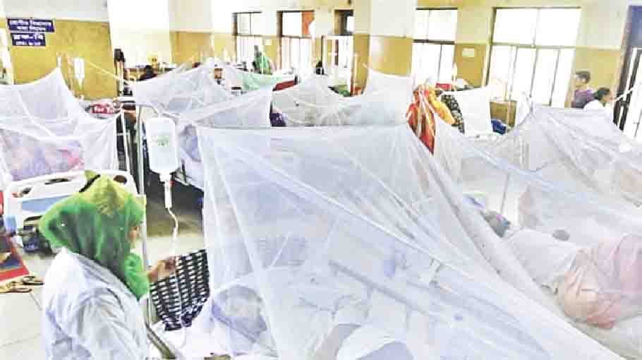 263 hospitalised with dengue in 24hrs