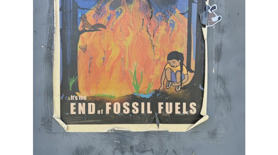 The Unbearable Anthropocentrism of Our World in Data