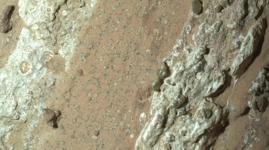 NASA Mars rover captures rock that could hold   fossilized microbes