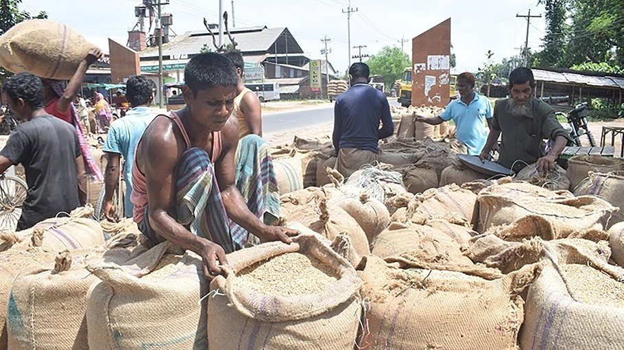 Boro paddy price increases as supply decreases in Dinajpur market