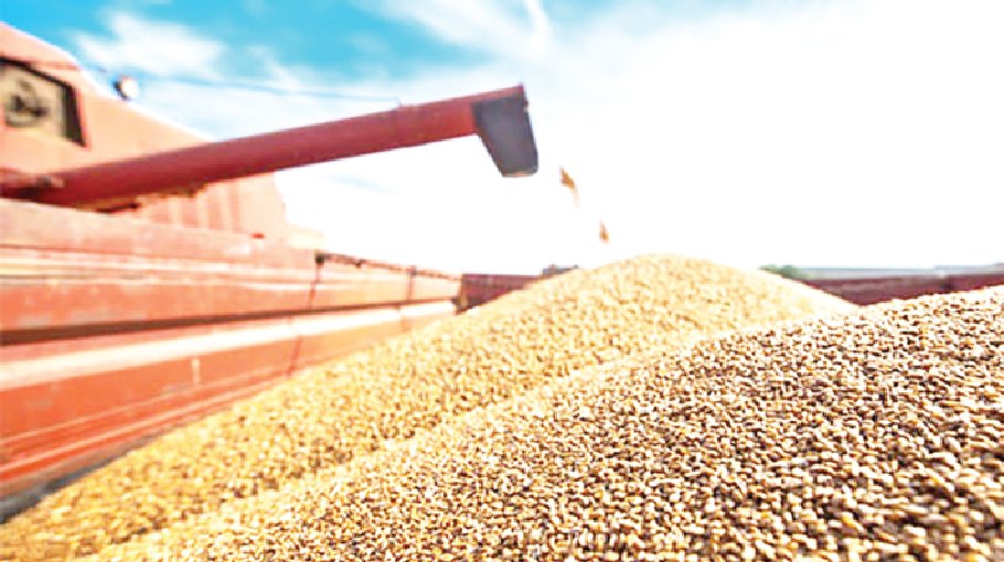 Russia exported record high grain volume last season
