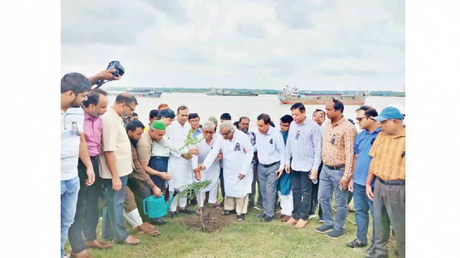 CDA launches tree plantation prog