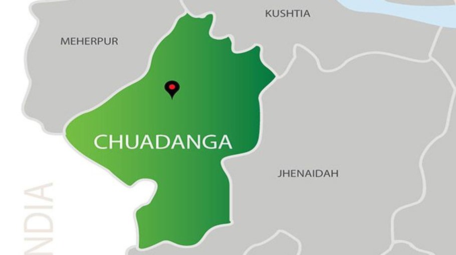 Local birds face extinction in Chuadanga