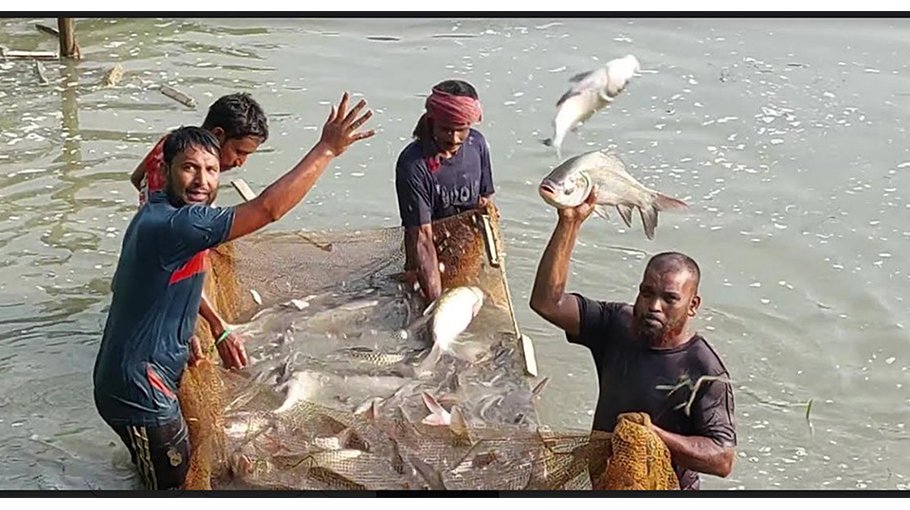 Fish farming areas in Chuadanga inadequate 