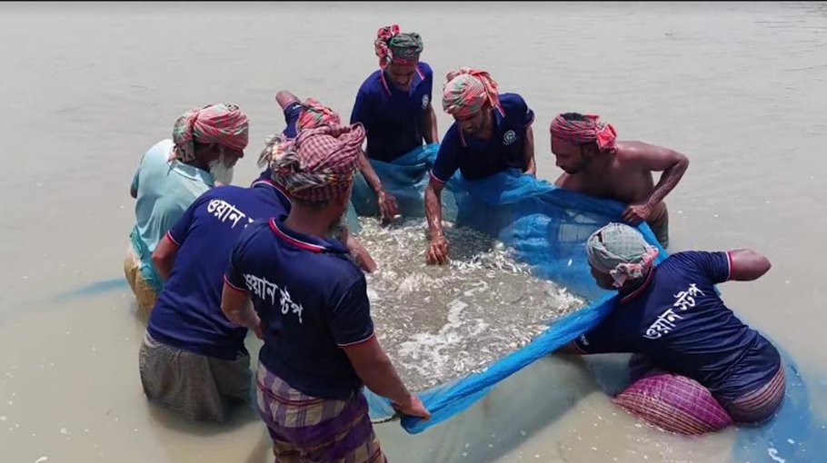 WAVE Foundation working to boost fish production in Chaudanga 