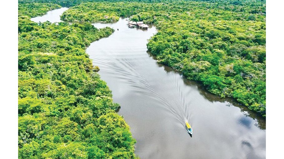 Deep in Amazon rainforest lives a community whose hearts age more slowly