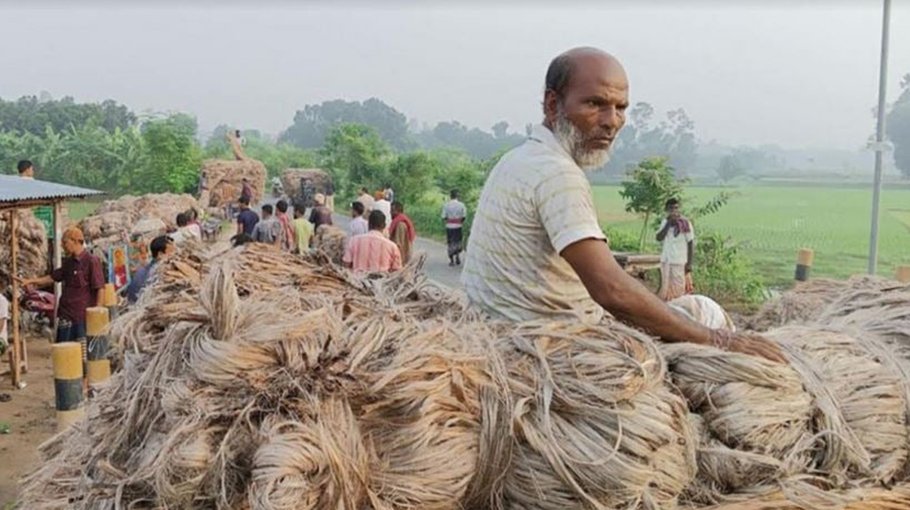Fair price cheers Rajshahi jute farmers 