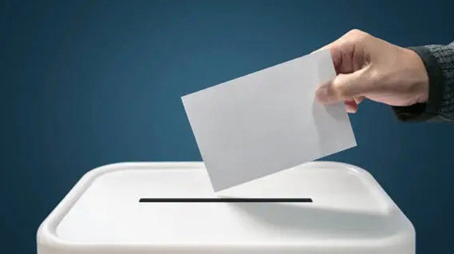 White paper committee on economy seeks public opinion