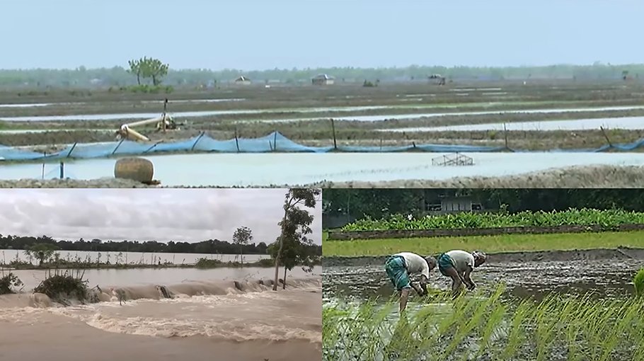 Flood damages crops on 842 hectares of land in Khulna