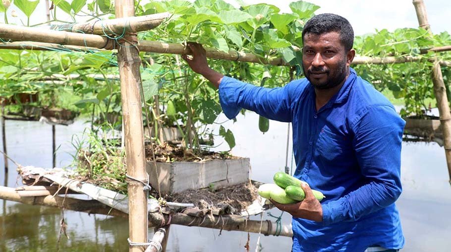 Floating agriculture brings new hope for Nabinagar farmers