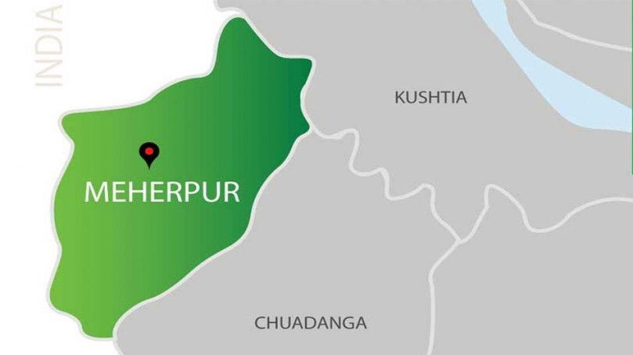 Two cases filed over Jamaat Leader's murder and arson in Meherpur