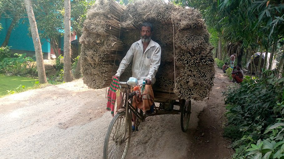 Jute sticks bring smile on farmers’  face in Jhenaidah 