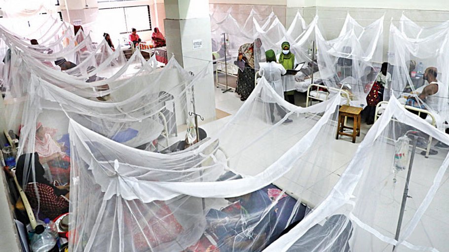 Six die of dengue, 986 hospitalised in a single day