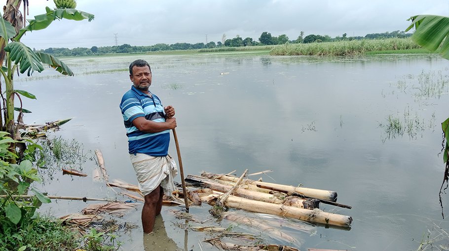 Crops on 4,000 Bighas go under water in Natore