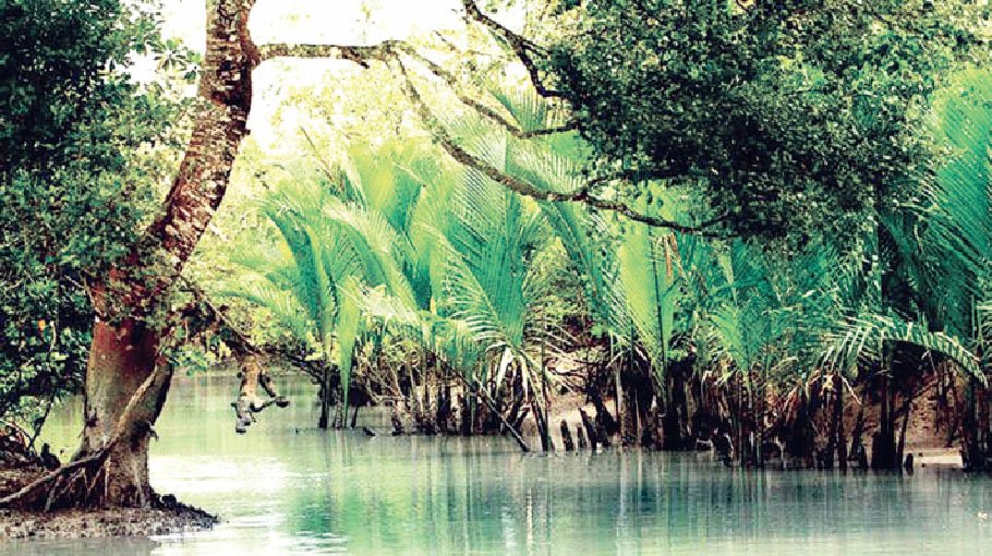  Defective planning leaves tourism  in Sundarbans at stake 