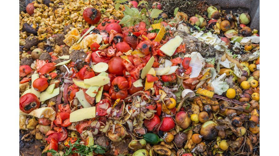 What can be done about food waste?
