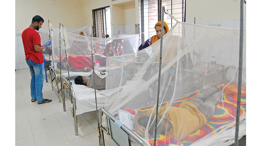 8 more die of dengue, 1,221  hospitalised