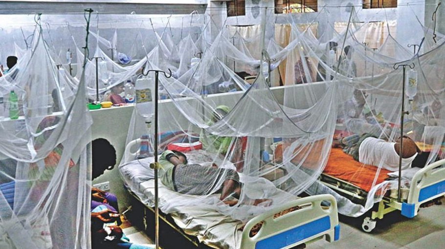 Three more die of dengue, 1,022   hospitalised