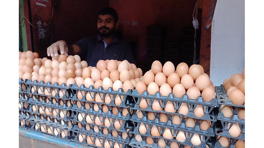 Egg price rises in Bogura