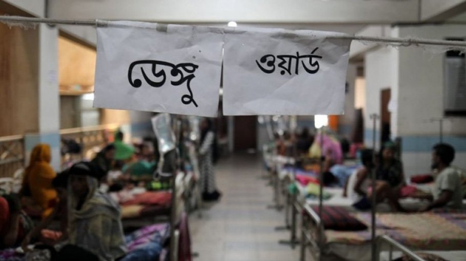 3 more die of dengue 583 hospitalised 