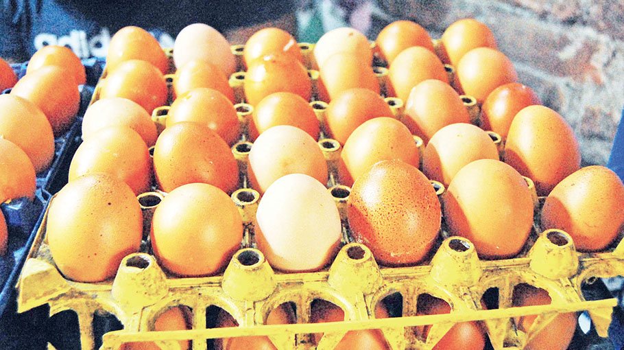 Egg price to come under control soon: Farida