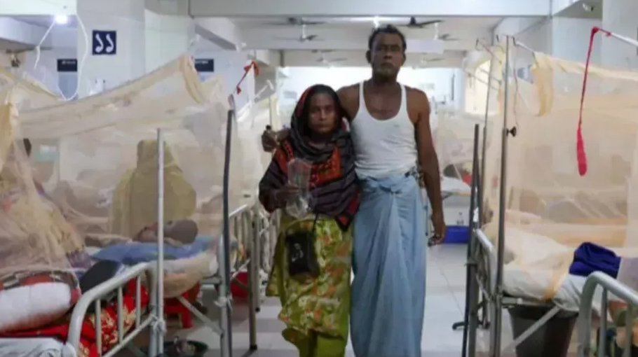 Nine more die of dengue, 915 hospitalised