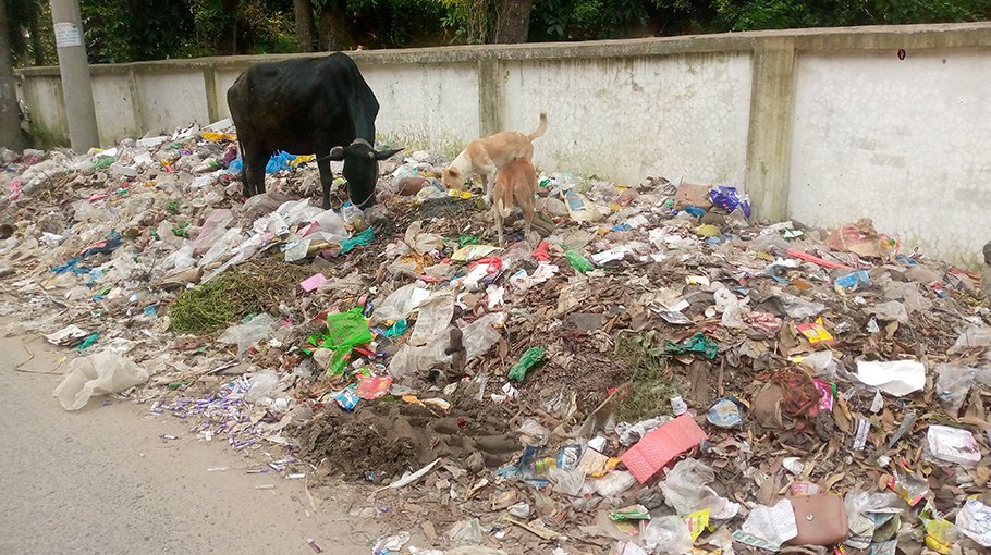 Garbage dump near Shailkupa hospital poses health risk to locals