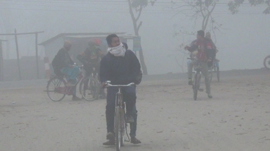 Winter chill   unlikely   before Jan