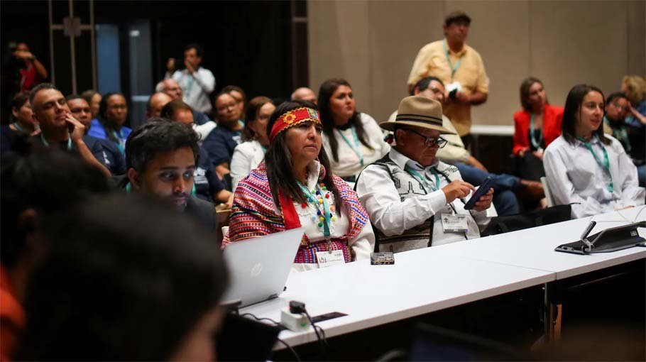 Nearly 200 countries gather at COP16 to discuss meeting 2022 treaty pledges