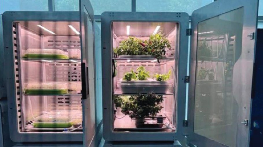 The future of electro-agriculture