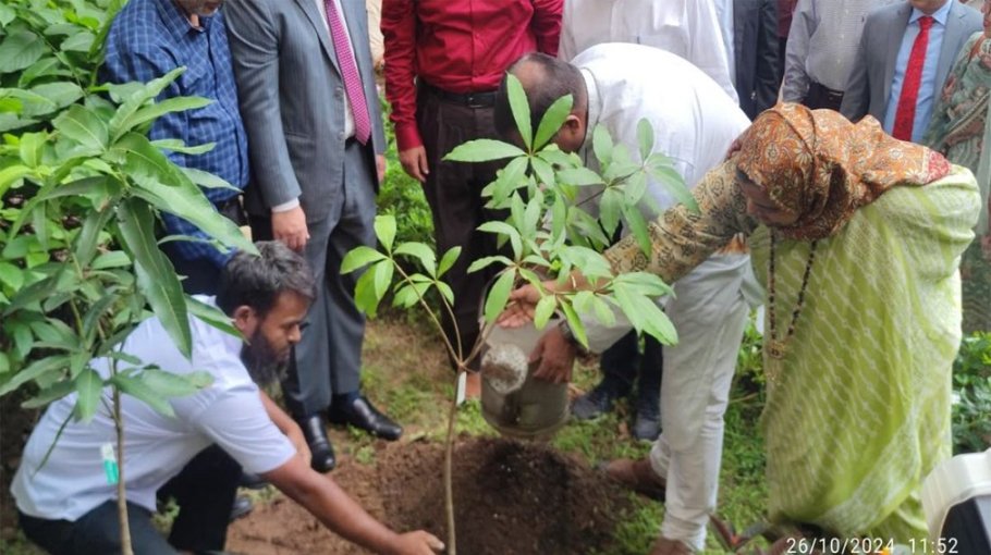 Jubo Dal holds blood donation, tree planation programme  in Dinajpur
