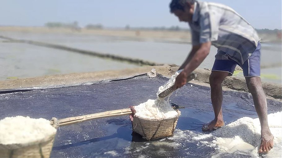 Salt production begins in Cox’s Bazar