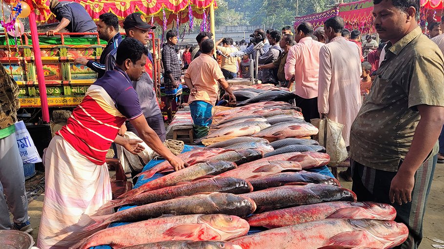 Fish fair held in Shibganj marking Nabanna Utsab