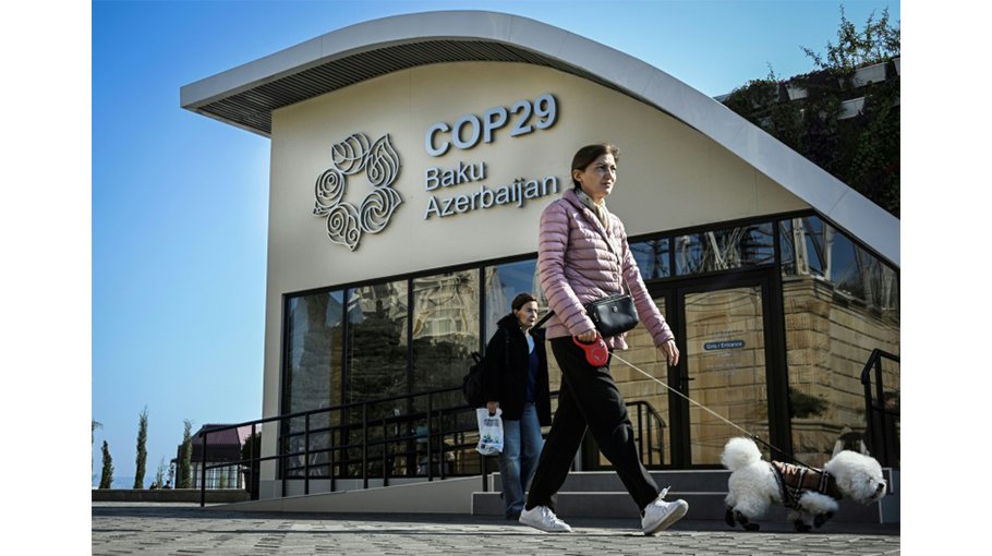 Progress and promises: Highlights of COP29 