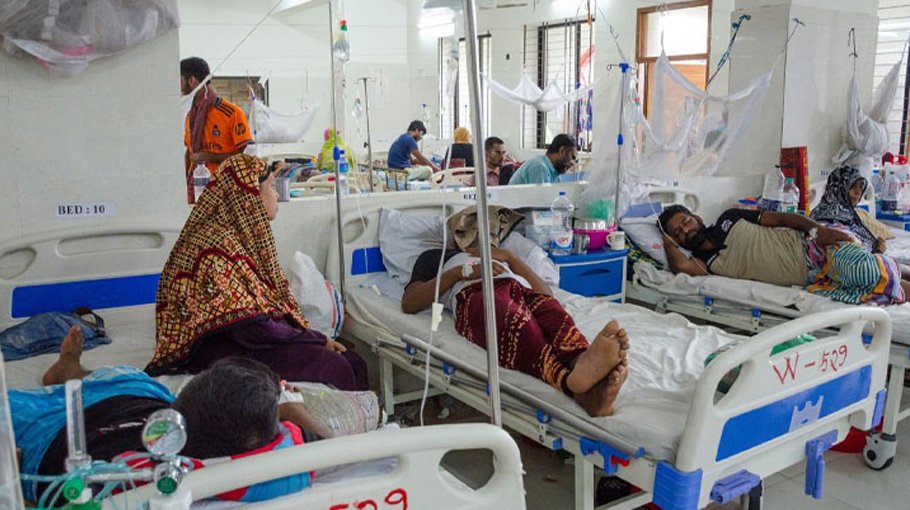Six more die of dengue