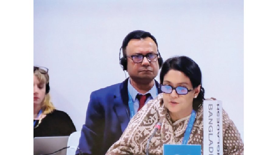Energy transition, adequate climate financing key to Bangladesh’s prosperity