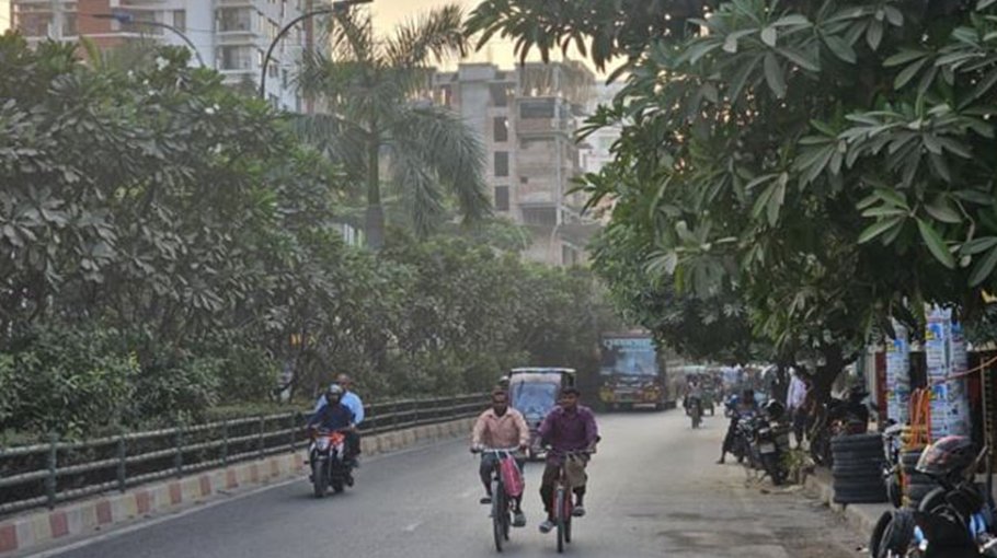 Steps taken to turn Rajshahi city green 